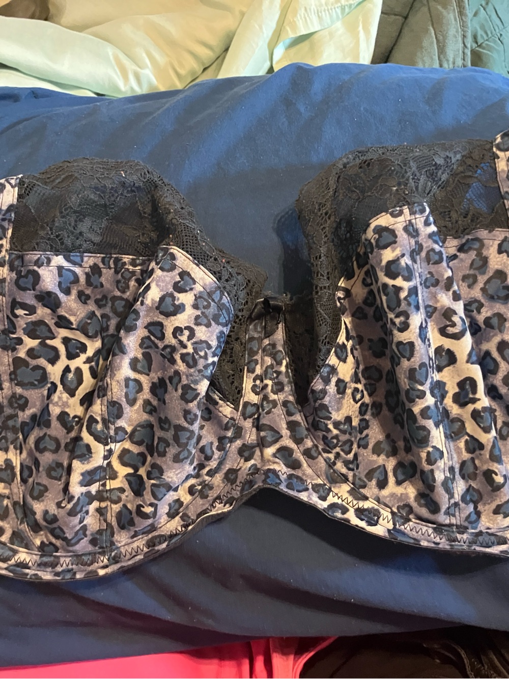 Leopard Lace Underwire Bustier Bra in Black and Gray